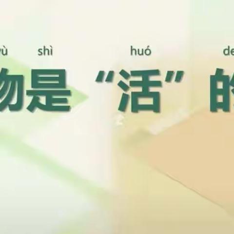 【微课堂】停课不停学 科学天天学——鞍山高新区华育学校科学教研组祝你学习永在线🥰