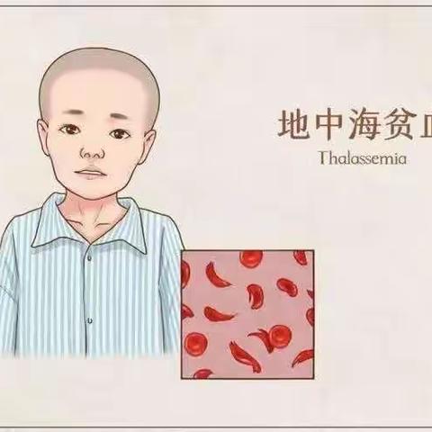 关爱地贫儿  献血传真情
