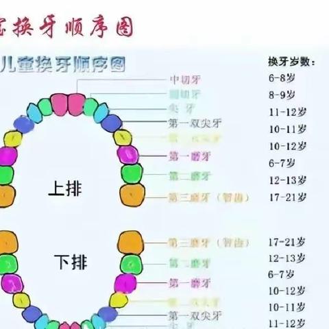 有“氟”共享  保护牙齿