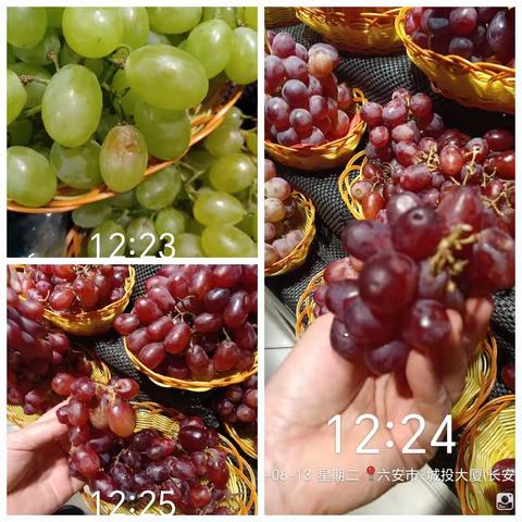 6.13巡店记录，城投店💖 群的美篇