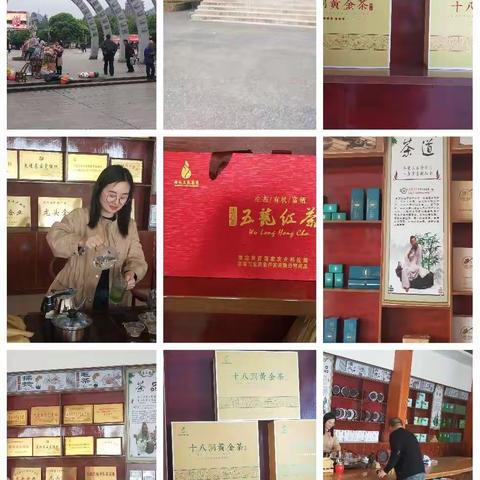【十八洞黄金茶】打造成中国茶文化驰名商标