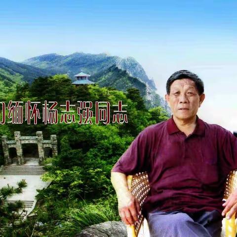 深切缅怀杨志强同志