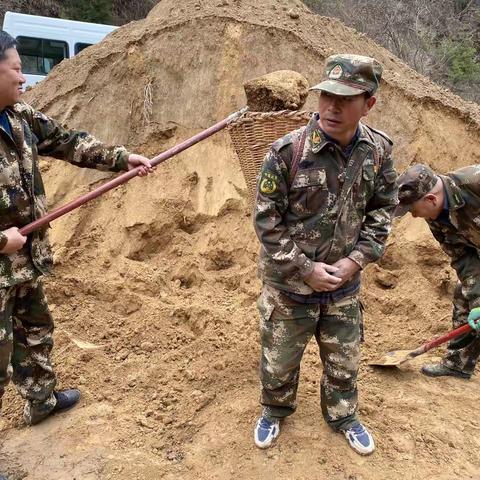 迭部生态建设管护中心腊子口林场工作日报