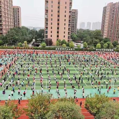 立心修心，携手同辉——立心小学重师全科实习教师第3周实习工作总结