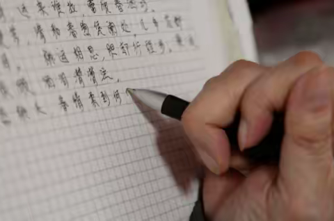 中医与西医两个不同的医疗体系，不同的特点。