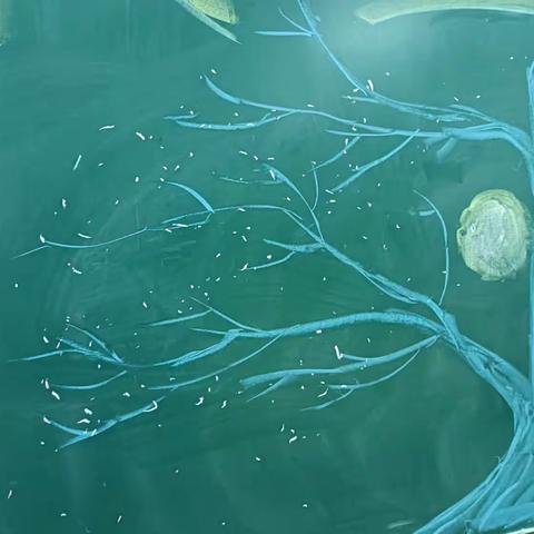 《黑板报的故事》