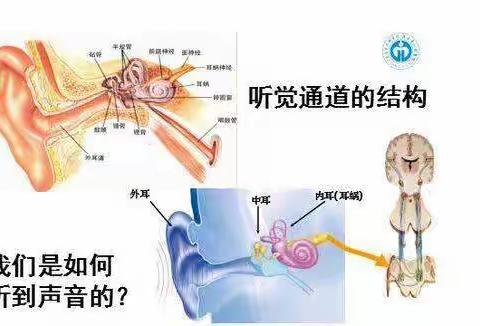 60秒养生小知识，教你耳鸣耳聋怎么办!