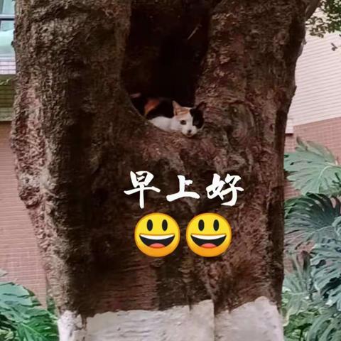 小草、大树