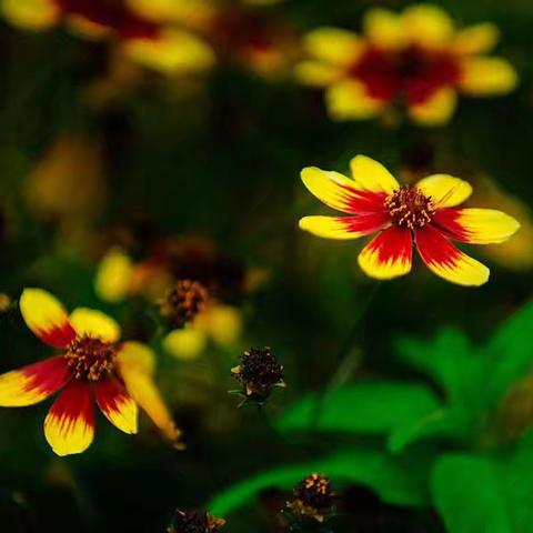 有人想念、就是幸福