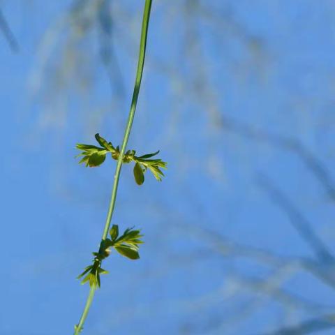25个很有力量的句子，蕴含哲理，总有一句能给你力量！