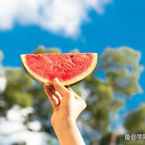 七月文案：流光七月，听蝉鸣夏