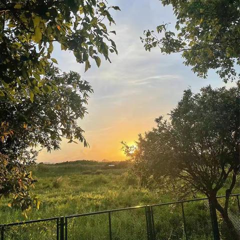 与夏日美好相拥，每一缕晨光都是馈赠，每一段岁月都值得珍藏