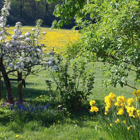 我运动我健康、我运动我快乐