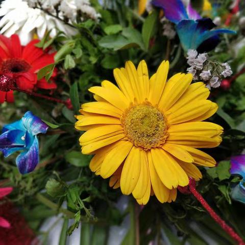 2025立秋：三喜两忧，且盼且行