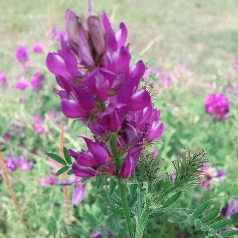 句子很短，句句藏锋，句句醒人