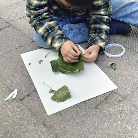 落叶之秋微风徐来，所有美好不期而至