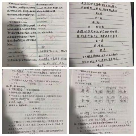 凝心聚力抓常规，严勤细实促落实