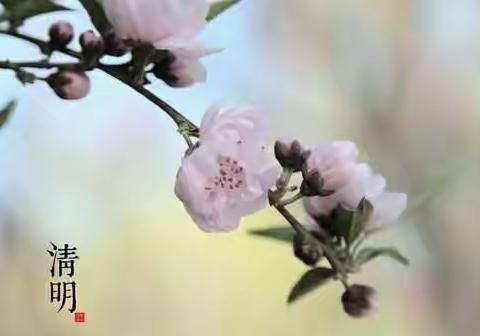 清明节放假致家长的一封信