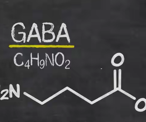 为你详细解读γ-氨基丁酸的强大作用！