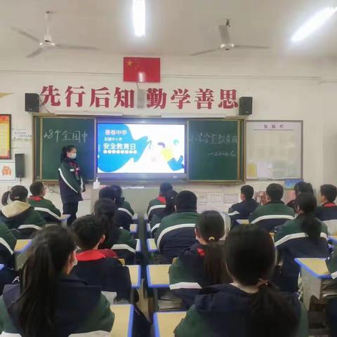 傲雪寒梅周总结