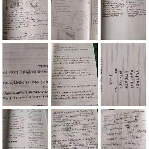 傲雪寒梅组周总结