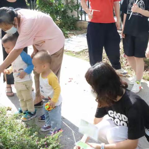 认识花园植物 | 大浪街道元芬村共建花园运营维护第二期