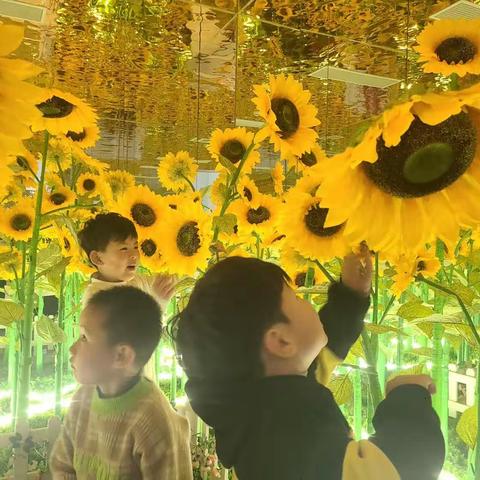 宝福娃成长中心 BK2提高班 绽放的你们✨