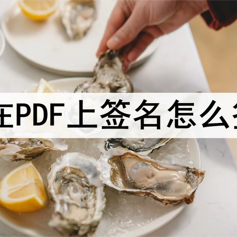 在PDF上签名怎么签？还不知道的看过来