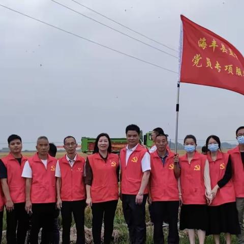 海丰县供销合作联社党员专项服务队深入田间地头开展“联农带农助力农民提产增收”志愿服务活动
