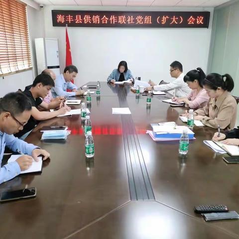 海丰县供销合作联社召开党组（扩大）会议专题传达学习党的二十大精神