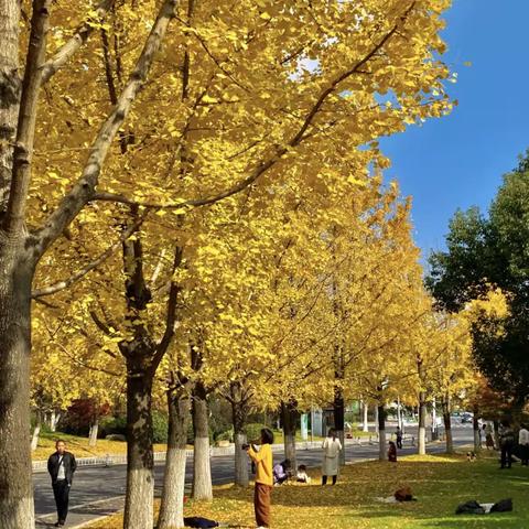 🍂多彩的秋天🍁