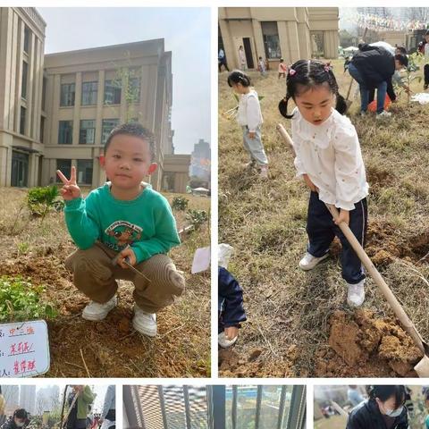 “相逢植树节 爱在春风里”——新城幼儿园中二班植树节主题活动