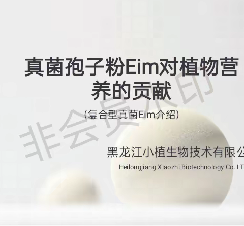 菌中王者Eim复合型真菌