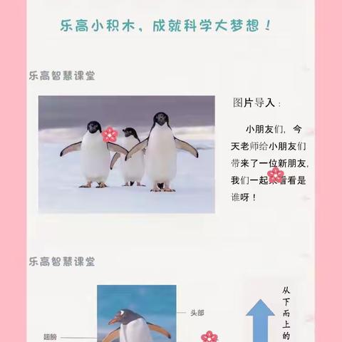 乐高小积木🌵科学大梦想🌵