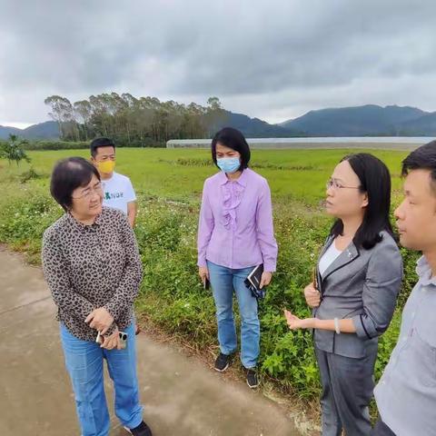 省农业农村厅至定安县开展农业生产社会化服务工作调研