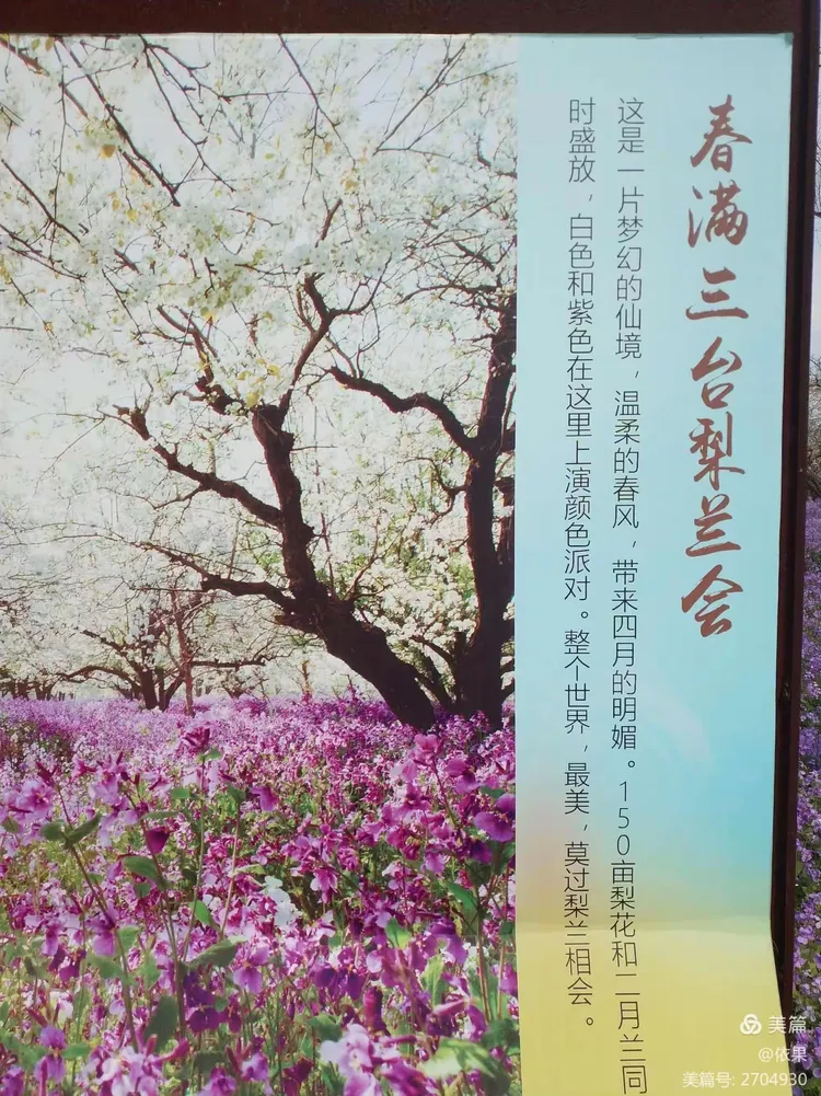 相约三台山梨兰会