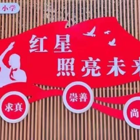 【高段数学组】多元实践促“双减”，特色作业展风采——红星小学高段数学特色作业