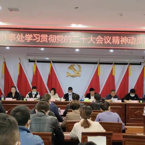 傍罗办事处召开学习贯彻党的二十大会议精神工作部署会