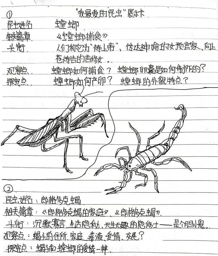 —《昆虫记》优秀笔记整理展示