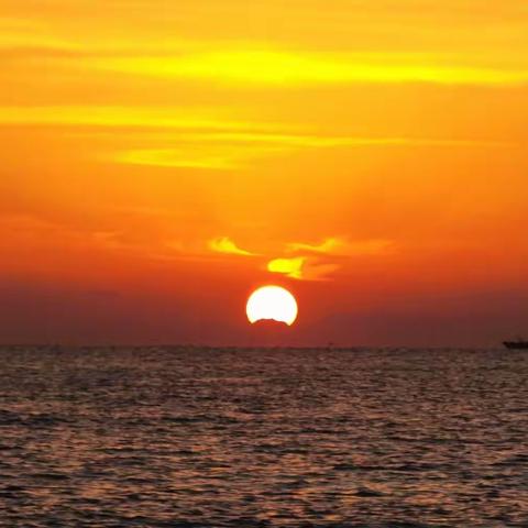 干货指导：申请停息挂账中介技术技巧教程