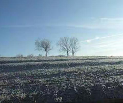 干货指导个性化分期协商还款技术实用技巧教学