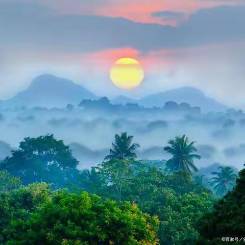 分享延期分期减免结清技术操作技巧教学