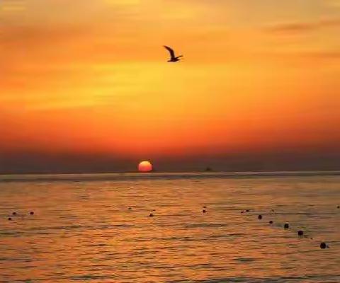 干货：分享个性化分期代操作机构公司处理方法技巧