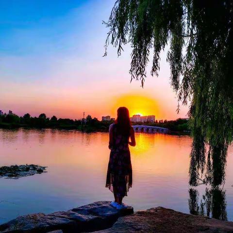 详解个性化分期操作事项及协商技巧分享