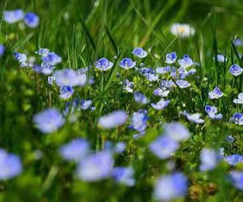 干货教学工商银行协商还款详细步骤技巧教学
