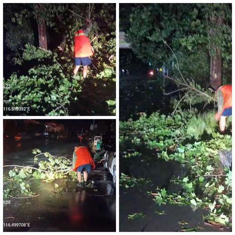 维护农村公路安全        确保人民畅通出行