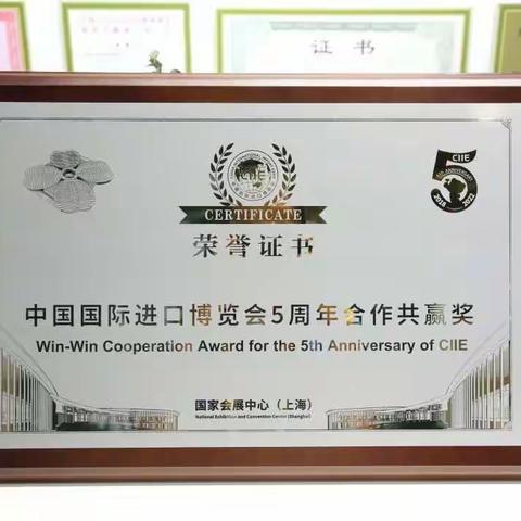 完美收官 | 今日水素获进博官方颁发荣誉证书