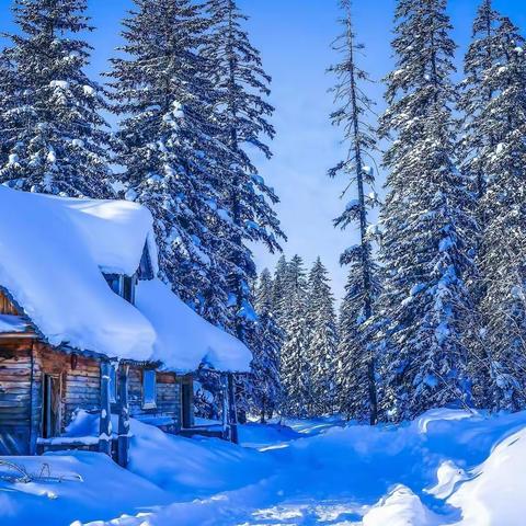 冬天的第一场雪！悄然无息......