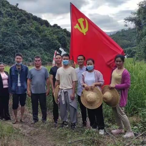 绿水青山就是金山银山，资规系统助力保护耕地