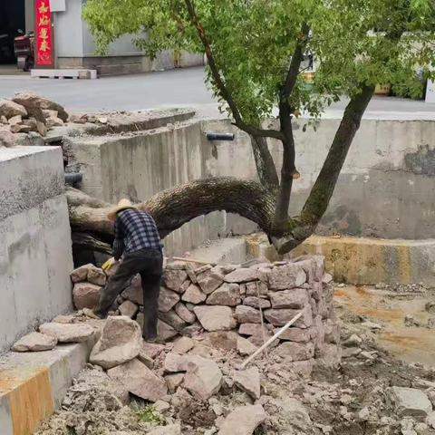 修缮池塘惠民生